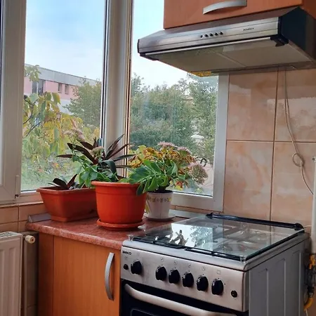 Apartment Sergio Craiova